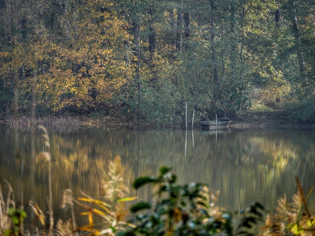 Pension Haus Friederike Bad Saarow Zewnętrze zdjęcie