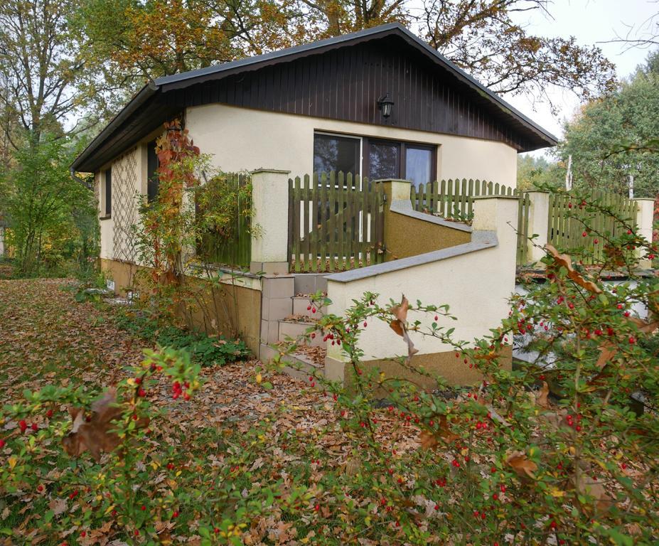 Pension Haus Friederike Bad Saarow Zewnętrze zdjęcie