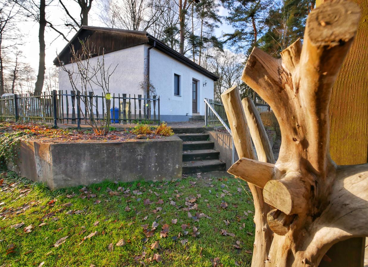 Pension Haus Friederike Bad Saarow Zewnętrze zdjęcie