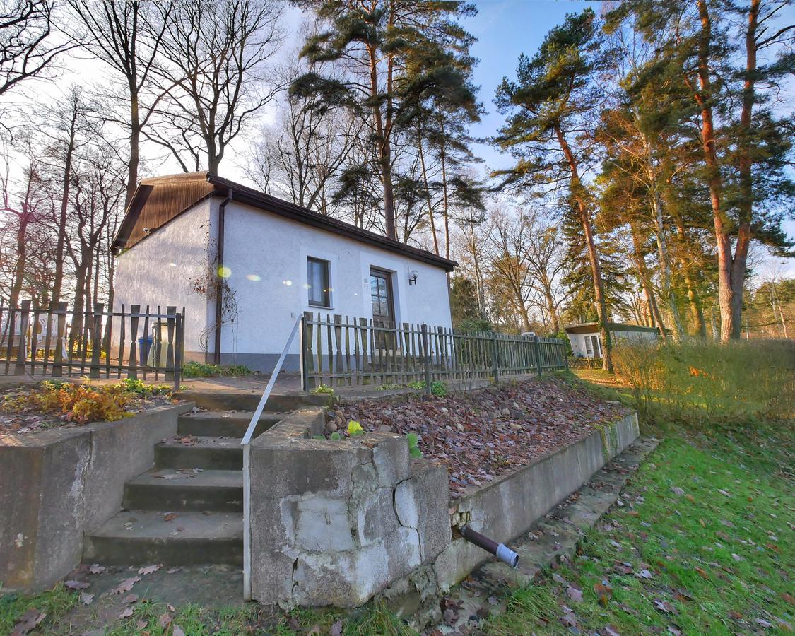 Pension Haus Friederike Bad Saarow Zewnętrze zdjęcie